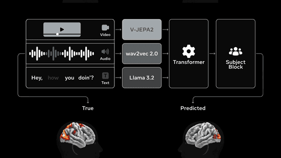画像や音声に対する人間の脳の反応を正確に予測するAIモデル「TRIBE v2」をMetaが公開