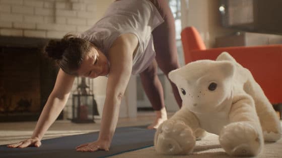 飼い主の感情に反応する犬のような感情知能ロボット「Familiar」をルンバの生みの親でiRobotの創業者でもあるコリン・アングルが発表