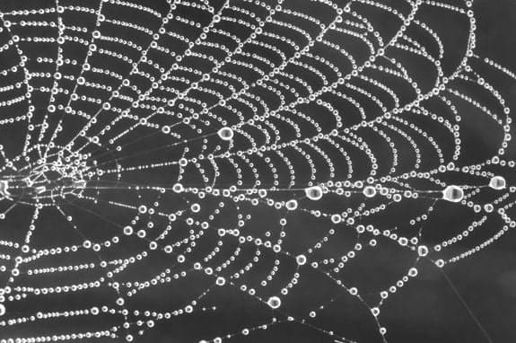 Google unleashes Gemini AI agents on the dark web