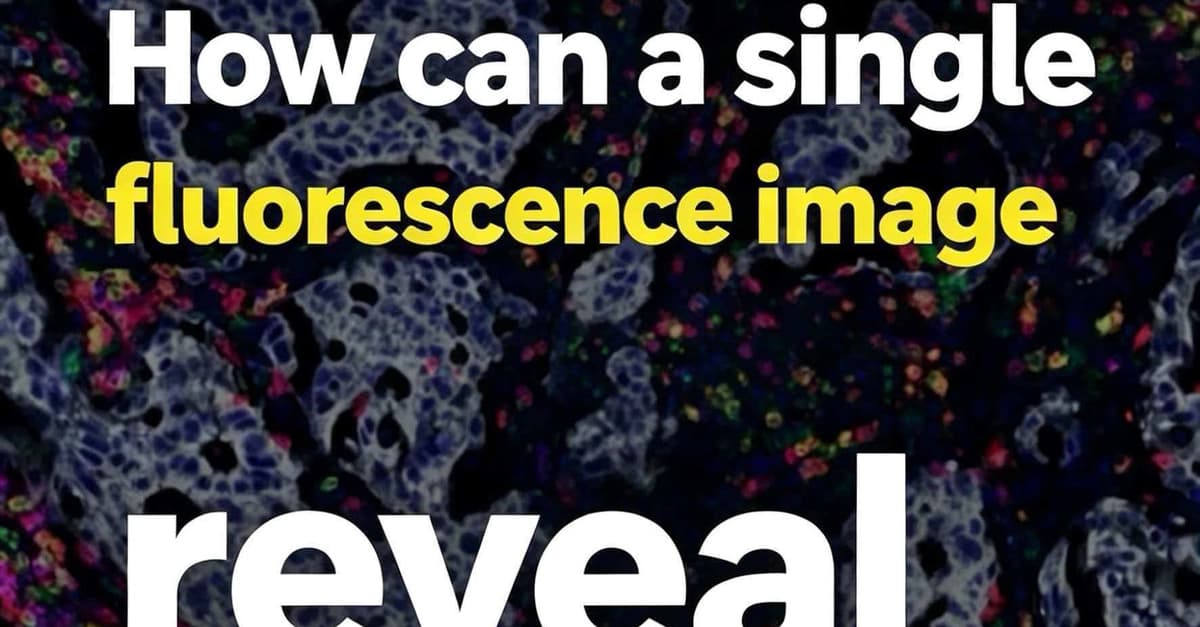 How we built a browser-based AI Pathology platform