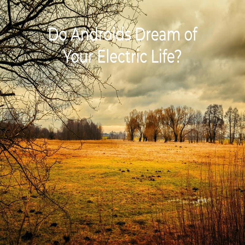 Do Androids Dream of Your Electric Life?