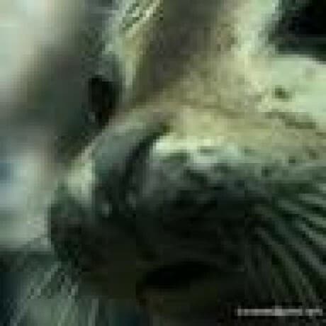 Stop Counting Prompts — Start Reflecting on AI Fluency